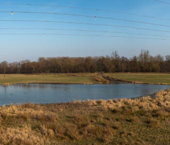 Blick auf die Kiebitzwiese