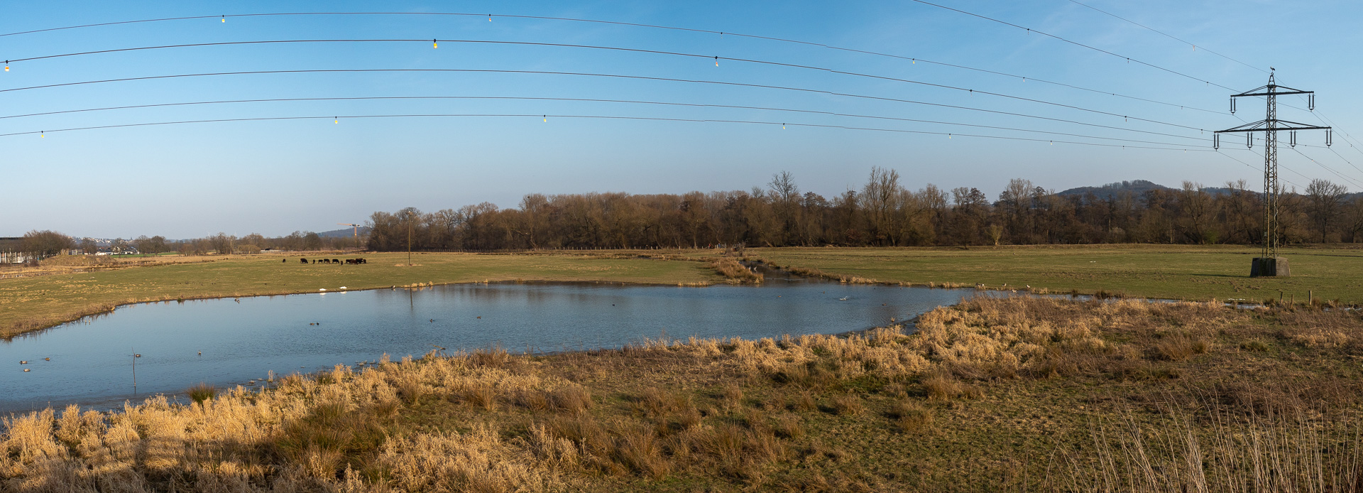 Blick auf die Kiebitzwiese