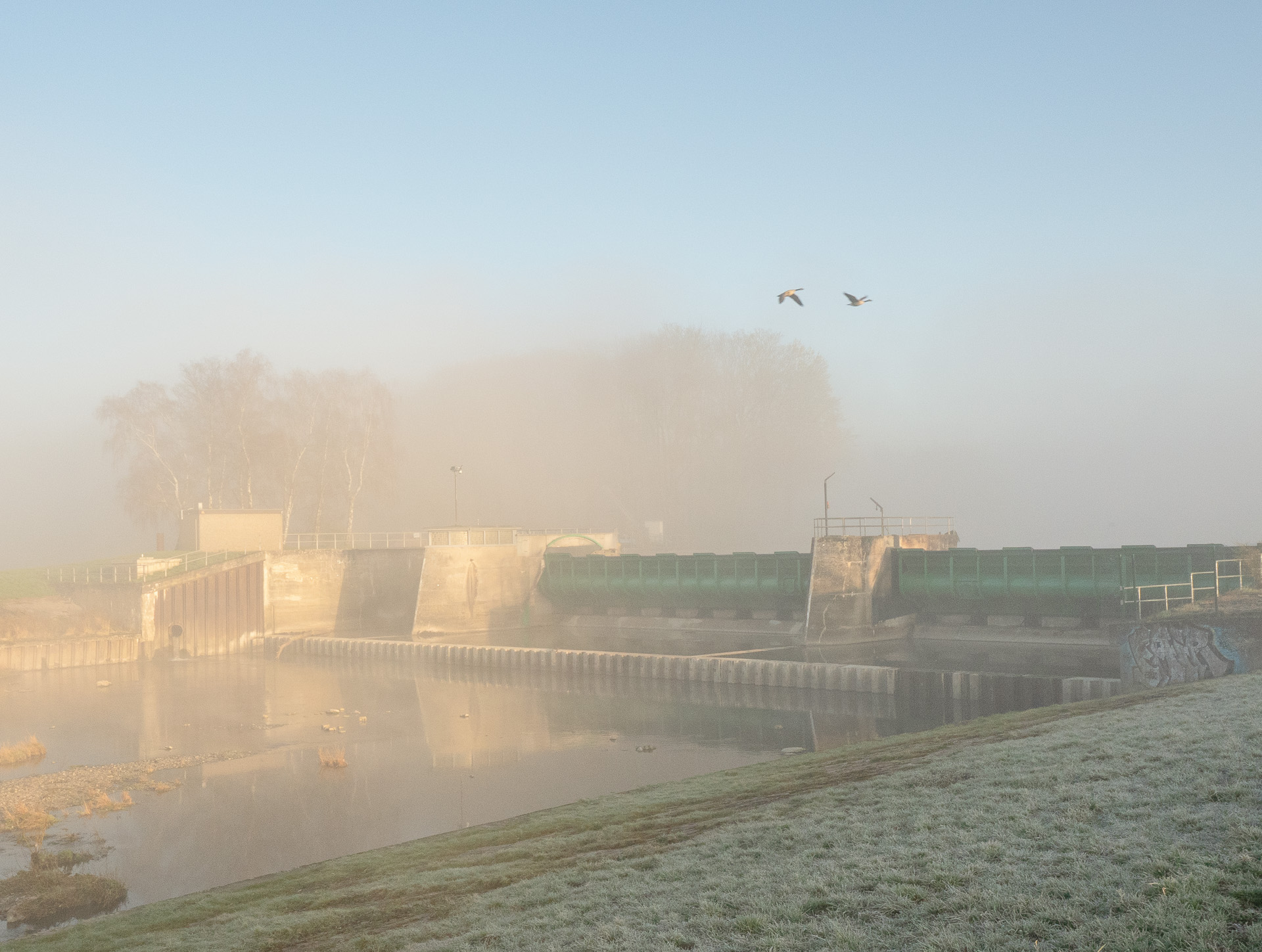 Wehr im Morgennebel