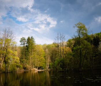 Einmal über den Teich