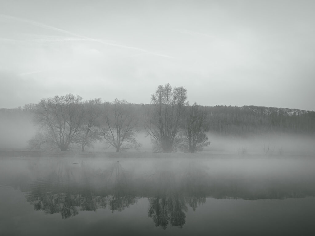 Nebelstimmung in schwarz-weiß