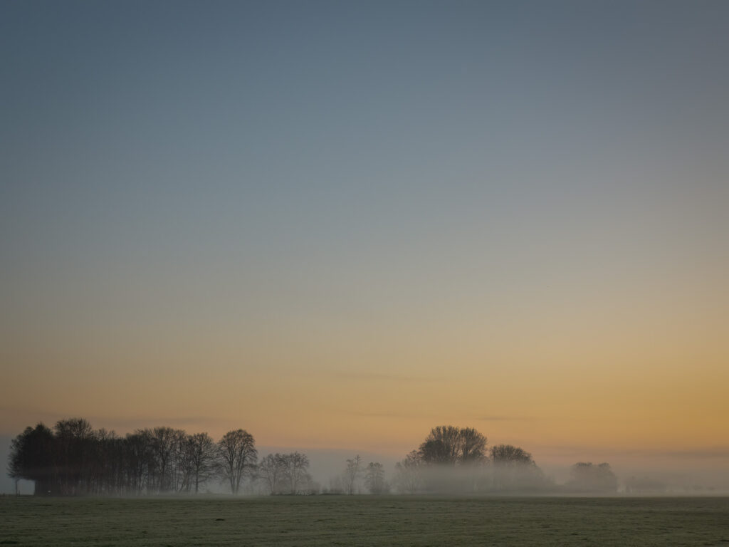 Noch mehr Bäume im Nebel