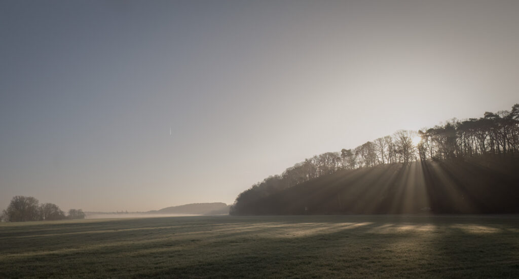 Blick über die Wiesen