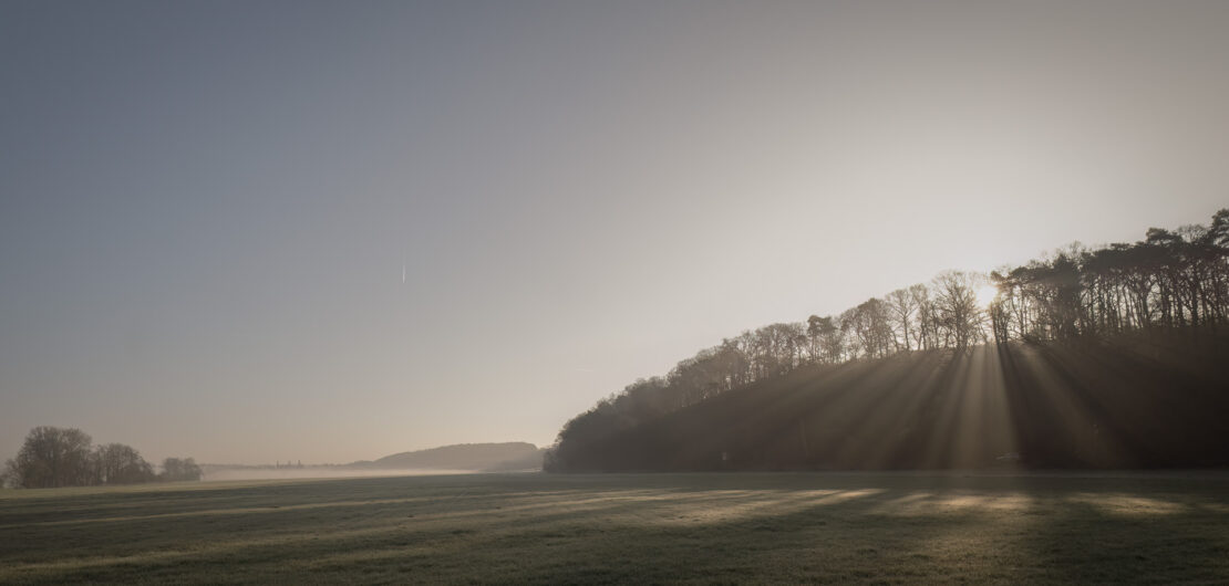 Blick über die Wiesen