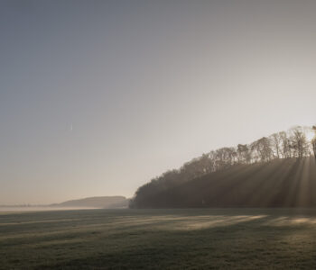 Blick über die Wiesen