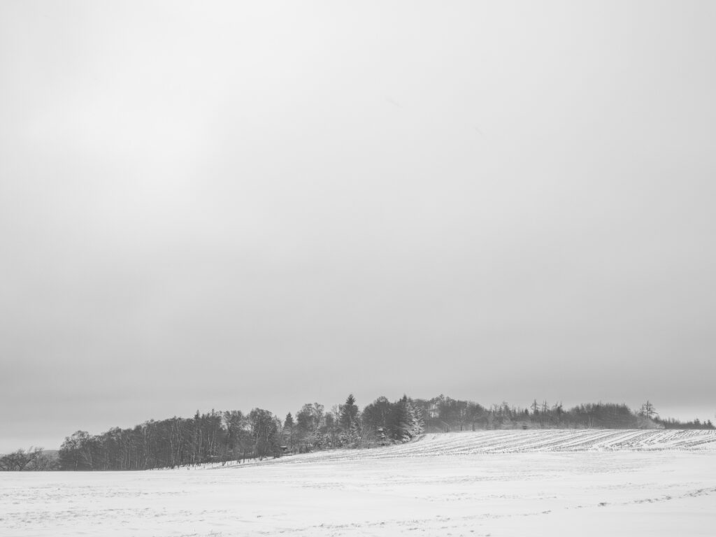 Blick in Richtung Kesbern
