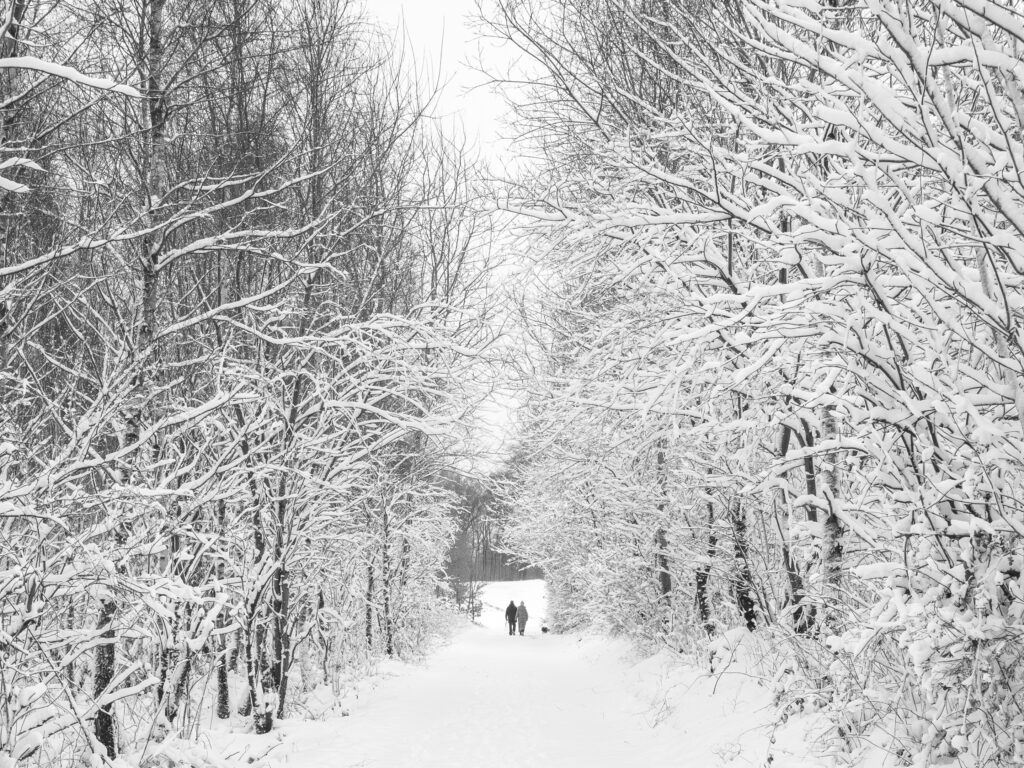 Schneespaziergang mit Hund